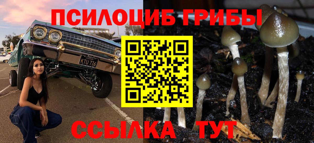 Галлюциногенные грибы Psilocybine cubensis  Вход с VPN  Ишим 